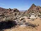 The Exodus Project by Ayin Es, Joshua Tree boulders
