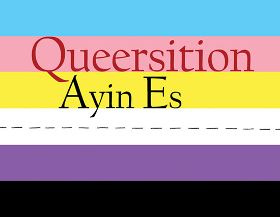 Queersition - a book by Ayin Es.