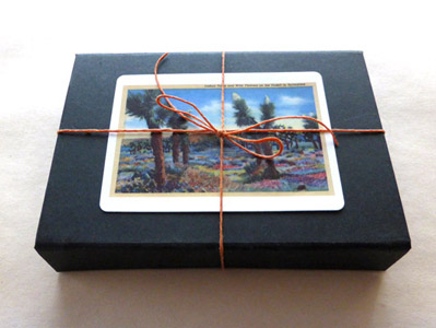 The Spark - An (Animated) Artist's Book by Carol Es - inside the box with joshua tree playing card and bow