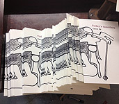 Today's Quandary, an Artist's book by Carol Es - printing run, covers